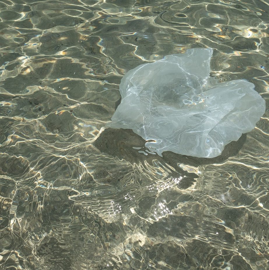 AMORGOS_SeaChange_DanezisStories_PALE8455 923 X 925 Image Block 2